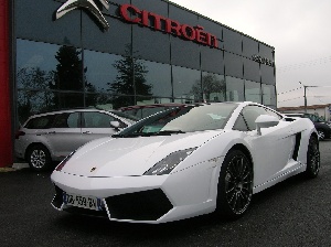 gallardo