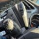 DS 3 (2) 1.6 THP 200 Racing, photo 32 sur 34